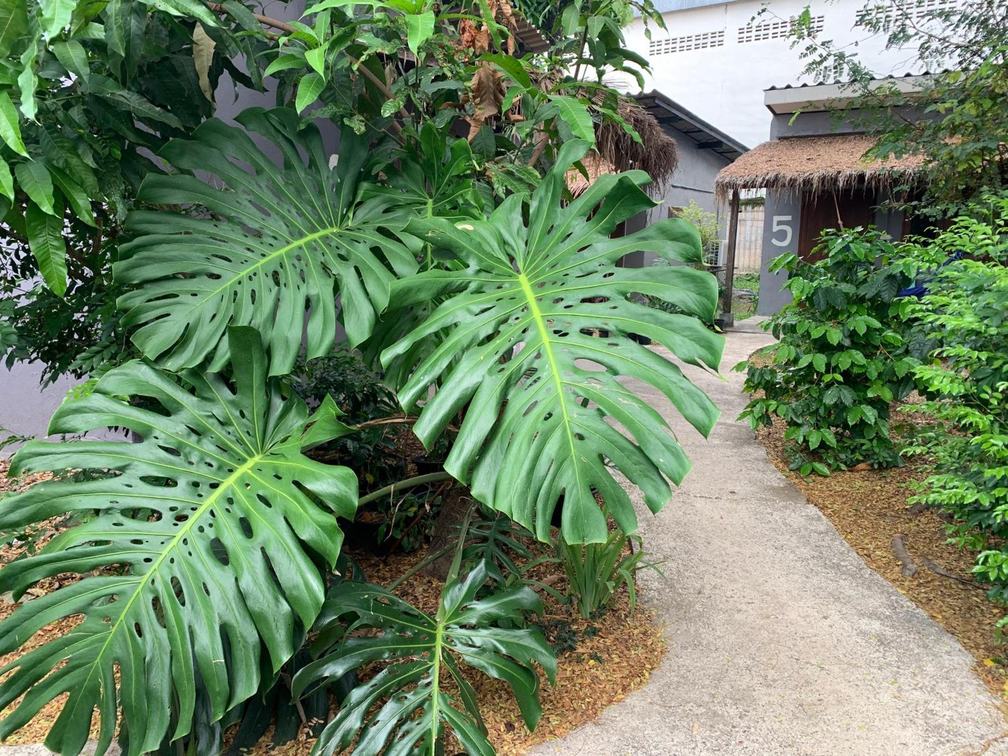 บ้านใจแปงโฮมสเตย์ Ban Jaipang Homestay Pai Buitenkant foto