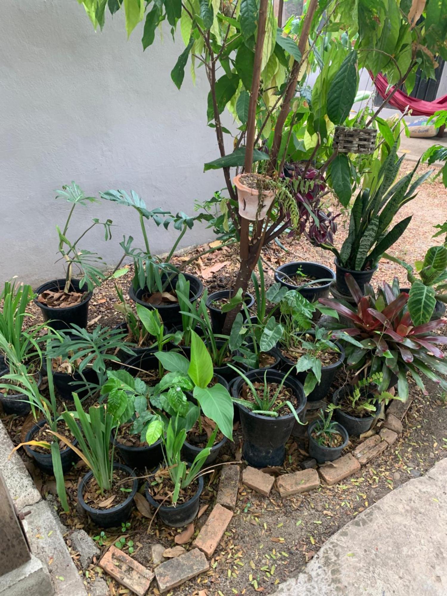 บ้านใจแปงโฮมสเตย์ Ban Jaipang Homestay Pai Buitenkant foto
